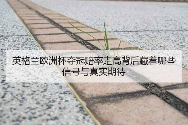 英格兰欧洲杯夺冠赔率走高背后藏着哪些信号与真实期待